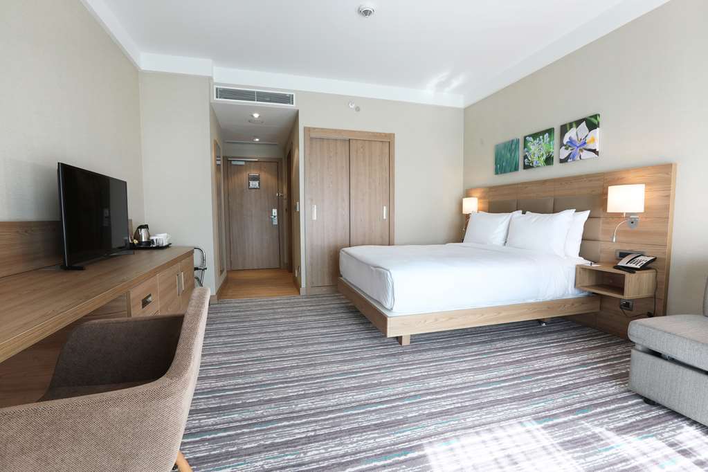 Hilton Garden Inn 阿德亚曼 客房 照片