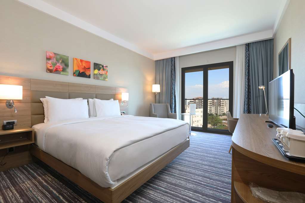 Hilton Garden Inn 阿德亚曼 客房 照片